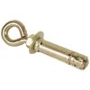 Eye Bolt Shield Anchors (1)