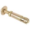 Loose Bolt Shield Anchors (16)