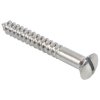 Brass Raised Head Slotted Wood Screws - CHROME PLATED (16)